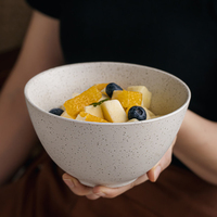 Grand saladier en céramique personnalisable, disponible en différentes couleurs émaillées, ensemble de bols à ramen et pâtes en céramique, écologique
