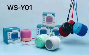 <span class=keywords><strong>Nouveautés</strong></span> <span class=keywords><strong>2022</strong></span> Ventes chaudes WSTER WSY01 Prise en charge USB Carte TF Radio FM Mini haut-parleur numérique sans fil portable - Product Image 5