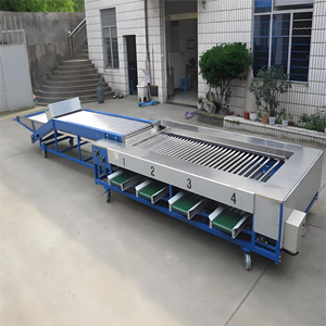 เครื่องคัดแยกผลไม้แบบใหม่/เครื่องคัดแยกและจัดเรียงลำดับขนาดพุทรา/เครื่องคัดแยกและจัดเรียงลำดับขนาดผลไม้กระเทียม - Product Image 5