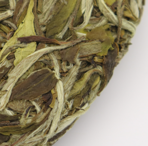 Vieux thé blanc stocké Bai Mu Dan 300 g/pc séché au soleil au début du printemps gâteaux au thé de pivoine blanche à vendre - Product Image 4
