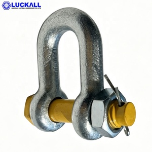 <span class=keywords><strong>Manille</strong></span> de levage G2150 Dee Shackle (acier allié forgé) certifiée ISO 9001, en acier allié galvanisé, avec goupille de sécurité, pour les États-Unis Type - Product Image 5