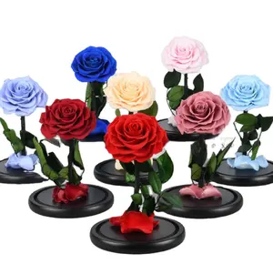 Boîte de cadeaux de Roses pour la saint-valentin, vraies fleurs en verre préservées, Roses éternelles préservées dans un dôme en verre