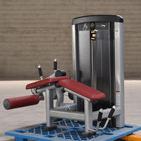Appareil de musculation intégré DINGJIAN DJ-LJ01 de qualité supérieure pour extension des jambes, horizontal, avec sélection de charge par broche courbée