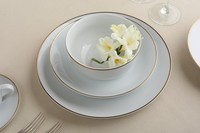Service de vaisselle de luxe en porcelaine fine OEM, collection Royal Country, avec tasses, assiettes rondes élégantes pour mariage