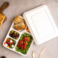 Tendance 5 compartiments canne à sucre Bagasse repas plateau couvercle jetable fête fournitures Kit pour événements voyage cantines supermarchés