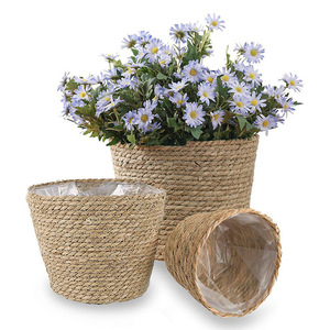 Woven Flower Pots Plant <b>Baskets</b> 3 Piece Set Indoor Home Planters Beige Storage <b>Baskets</b> - Product Image 1