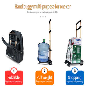 BAOYU Portable petite plate-forme chariot main plat Transport chariot pliable chariot à bagages chariot - Product Image 6