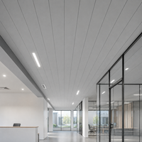 Panel de Techo de PVC Gris, Moderno, para Renovación de Oficinas Comerciales, WYRAX