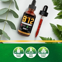 Gouttes sous la langue vitamine B12 pour dames et hommes 5000 MCG gouttes de vitamines végétaliennes saveur de fruits absorption facile soutien immunitaire