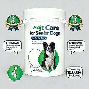 Suplemento Masticable para la Salud de Cadera y Articulaciones de Mascotas, con Glucosamina de Mejillón de Labio Verde, OEM - Product Image 3