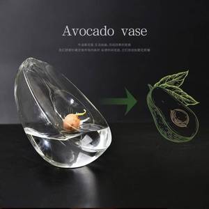 <span class=keywords><strong>Vase</strong></span> en verre hydroponique pour <span class=keywords><strong>avocat</strong></span> japonais, <span class=keywords><strong>vase</strong></span> de plantation spécifique aux graines, récipient hydroponique pour noyaux de fruits - Product Image 3