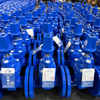 Vanne à vanne d'eau souterraine DN500-DN1200 en fonte Cale à tige non montante Cale en fonte ductile Étanchéité souple Manuel à bride