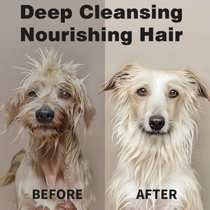 Lingettes pour animaux de compagnie emballées individuellement pour chiens Eem chiots biodégradables 10 pièces de lingettes humides jetables pour animaux de compagnie nettoyage - Product Image 5