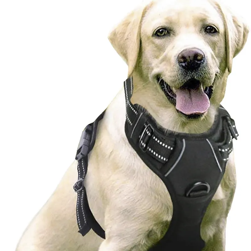 Clip Handvat Oxford Outdoor Geen Pull Kat Huisdier Vest Hundegeschirr Custom Multifunctionele Hond Harnas