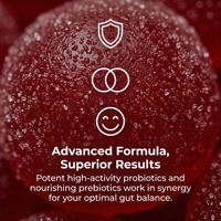 Fibres prébiotiques pour renforcer l'immunité intestinale WXW, capsules probiotiques pour la santé intestinale, améliorent l'environnement intestinal, sans sucre, en bouteille