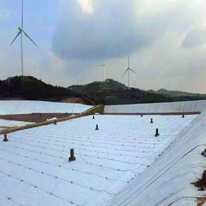 Hy vọng thiết kế công nghiệp Phong Cách AO dòng cá trang trại đập bãi rác Composite <span class=keywords><strong>geomembrane</strong></span> lót - Product Image 1