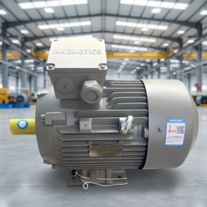 Motor trifásico de hierro fundido IEC Standard Innomotics de 30kW, 45kW, 55kW, 75kW, 90kW, 110kW, 132kW, 160kW, 250kW, CA 380V, 660V - Product Image 2