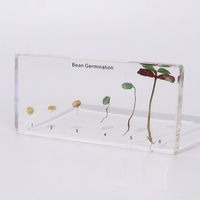 Produit phare : Bloc de résine de taxidermie avec plantes réelles, spécimen en acrylique, jouets éducatifs pour l'enseignement