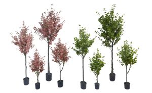 Faux arbre d'eucalyptus artificiel détachable <span class=keywords><strong>petit</strong></span> pour les décorations intérieures et extérieures - Product Image 6