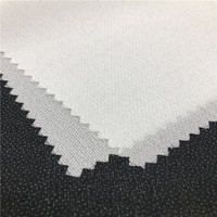 Entoilages fusibles tissés favorables à l'environnement de polyester de 75D 100% pour l'habillement