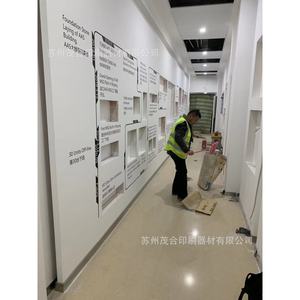 ภาพจิตรกรรมฝาผนังพิมพ์ลายบนพื้นผิวกระจก ตกแต่งห้องจัดแสดงงานศิลปะในพิพิธภัณฑ์ - Product Image 4