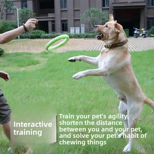 Jouet à mâcher pour chien, résistant aux morsures, pour le nettoyage des dents, anti-ennui, <span class=keywords><strong>anneau</strong></span> interactif à tirer, frisbee volant, flottant sur l'eau, pour animaux <span class=keywords><strong>de</strong></span> compagnie <span class=keywords><strong>de</strong></span> grande taille - Product Image 6