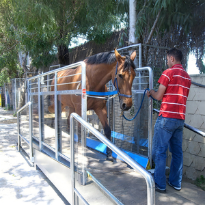 Cinta de Correr Equina para Entrenamiento de Caballos, Equipo para Centros Ecuestres, Rehabilitación Veterinaria, Máquina de Ejercicio para Caballos - Product Image 4