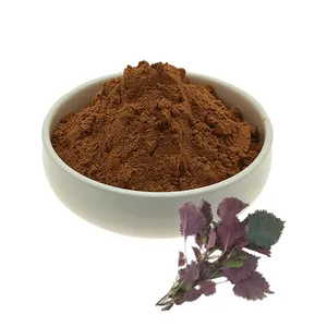 Pure Natural Folium Perillae/Perilla Frutescens Leaf/Perilla Leaf Extract