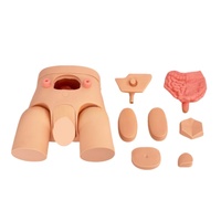 Modelo de demostración de entrenamiento de cateterismo masculino y femenino de entrenamiento médico-Ideal para Educación de enfermería