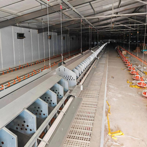 Jaula de Gallinas de 24 Compartimentos de Doble Cara, de Acero Galvanizado, Sistema de Recolección de Huevos para Granjas Comerciales - Product Image 5