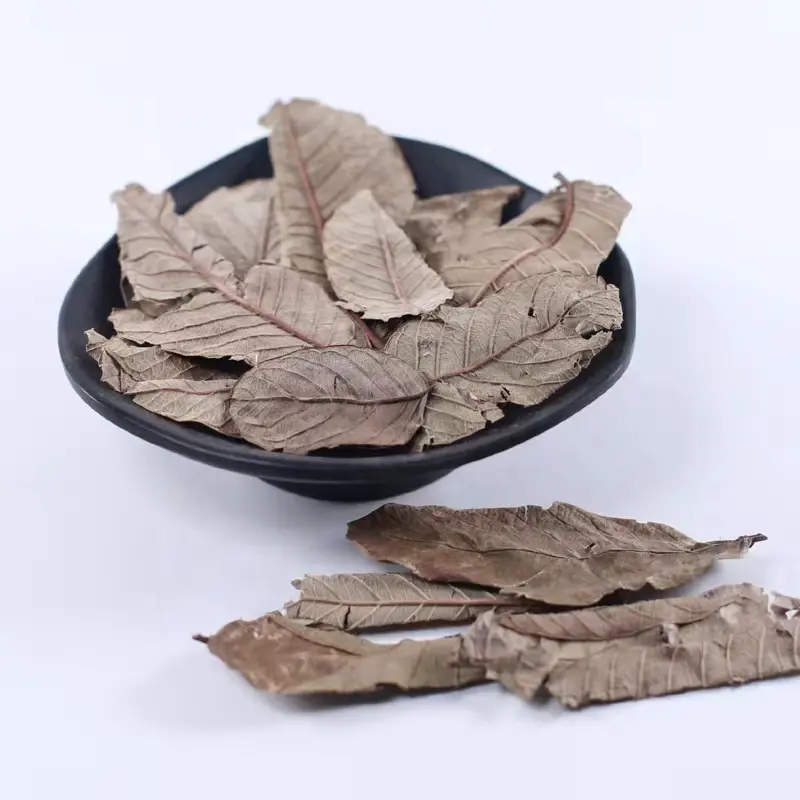 Wholesale price herbal tea dried guava leaf tea in bulk