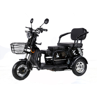 Gran oferta precio barato 600W 48V Ebike 3 ruedas triciclo eléctrico de largo alcance multifunción E-Bike bicicleta eléctrica de carga para adultos