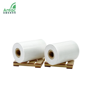 Couch giấy tráng với <span class=keywords><strong>PP</strong></span> phim dính <span class=keywords><strong>PP</strong></span> tổng hợp giấy <span class=keywords><strong>PP</strong></span> cho Matte phim CuộN - Product Image 2