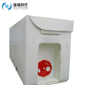 A prueba de UV Corflute plástico colmenas de abejas abeja cartón Nuc CAJA PLEGABLE 5 marcos reina crianza colmena - Product Image 1