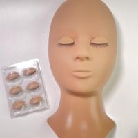 Private Label Schaufenster puppen kopf für Wimpern verlängerung Trainings gesicht Abnehmbare Augenlider Wimpern gummi verlängerung werkzeug