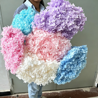 Bunga Hydrangea Kering Alami Asli dengan Tangkai Panjang untuk Rangkaian Bunga