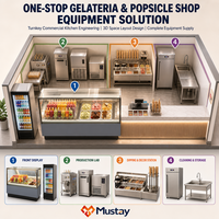 Vitrine Réfrigérée Commerciale pour Glaces et Sucettes Glacées, Double Zone, Verre Anti-Buée Chauffé, Congélation Rapide pour Magasin