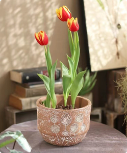 Macetas de Fibra de Vidrio Ligeras con Relieve Contemporáneo para Interiores y Exteriores, Jardín y Hogar, con Drenaje para Plantas y Suculentas - Product Image 2