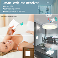 Module de relais WiFi 2 groupes 10A Support mural étanche avec fonction minuterie Kit de télécommande sans fil RF433 OEM personnalisable