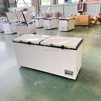 Inverseur horizontal commercial de congélateur de coffre de réfrigérateur de capacité profonde
