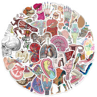 50 Pegatinas de Anatomía Humana - Guía de Aprendizaje de Órganos para Estudiantes de Medicina, Calcomanías Removibles Resistentes al Agua y a los Rayos UV