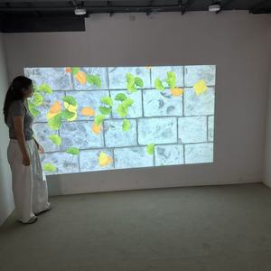 Système de Projection murale 3d pour enfants, nouveaux effets magiques, jeux vidéo - Product Image 2