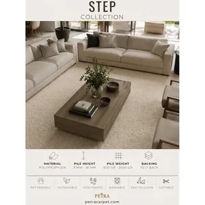 Tapis d'intérieur en polypropylène crème Petra Step 10232, lavable en machine, adapté aux animaux domestiques, découpable, pour salon, couloir, vente en gros - Product Image 3