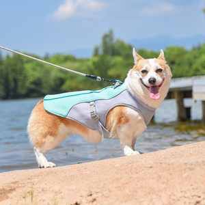 Chaleco de malla para mascotas, estilo fino y transpirable para verano, ropa para perros grandes como Shiba Inu y Border <span class=keywords><strong>Collie</strong></span> - Product Image 4