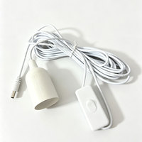Ampoule LED 12V pour usage extérieur avec câble de 5 m, prise DC5521, interrupteur marche/arrêt, crochet métallique pour un accrochage facile