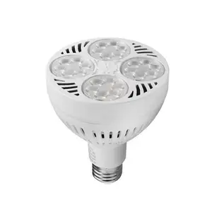 中国24PCS 16PCS led E27聚光灯220电压AC90-277V可调光Par30 40W 75W卤素灯替换