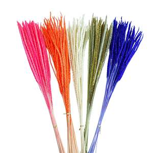 Échantillons gratuits de sétaire jaune naturel Setaria <span class=keywords><strong>Pumila</strong></span> vraies fleurs d'herbe de Kirin séchées pour la fête des mères et Noël - Product Image 4