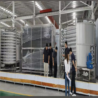 Nouvelle machine de congélation rapide automatique de haute qualité de marque RF, congélateur tunnel IQF pour fraises, équipement de congélation par soufflage d'air, garantie 1 an