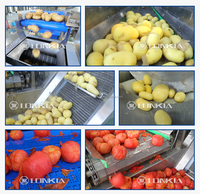 Hete Verkopende Automatische Fruit Groene Bananenschiller Machine Hazelnootschiller Aardappelhuidverwijdering Groente Stoomschiller