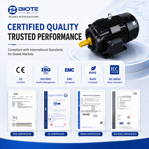 Moteur AC monophasé personnalisé BIODÉT 1,1 kW 1,5 CV Série ML 2980 tr/min 2 pôles 220 V 50/60 Hz pour machine de réfrigération et ventilateur médical - Product Image 6